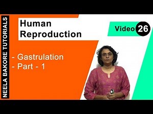 Human Reproduction | NEET | Gastrulation - Part 1 | Neela Bakore Tutorials