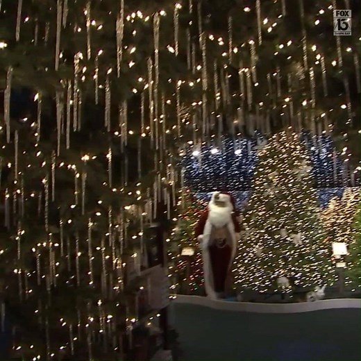 CHRISTMAS DECOR GALORE! Robert's Christmas Wonderland in Clearwater has been in business for 45 years, and visiting has become a yearly tradition for many in the Tampa Bay area. From Christmas trees and holiday decorations to ornaments and villages, the store is sure to put you in the holiday spirit! 🎄🎅🎁❄️ DETAILS: http://bit.ly/38dFjZJ | FOX 13 News - Tampa Bay