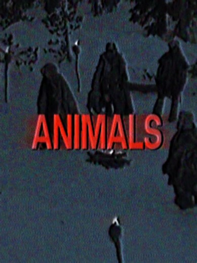 The Fascinating World of Yellow Jackets