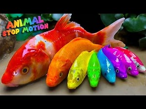 Epic Stop Motion Animation Satisfying & Cinematic | Stop Motion8