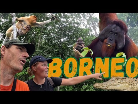 BORNEO 🇲🇾 Backpacking Southeast Asia