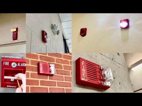 Simplex Fire Alarm Test 81