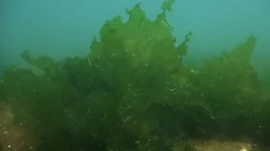 199K views · 4K reactions | PARACAS EL REINO DEL VIENTO Documental que realizó Tv Perú y Pluspetrol bajo la dirección de Yuri Hooker Mantilla, una maravilla de la naturaleza que tiene la Provincia de Pisco. Como se producen los vientos paraca en Pisco ? Un fenómeno natural caracteristico de la Provincia de Pisco, conozcamos ... Visita Paracas !!! Visita Pisco - Perú !!! | Pisco Documentales | Facebook