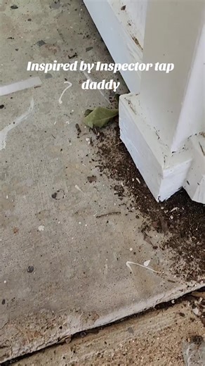 Aaron Davis on TikTok