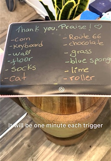 I owed Praise a couple of triggers from my last live when my phone died on me lol Thank you @Praise for being understanding 🌌🎉 I am sure everyone is gonna love this long video! 1 min each trigger! Enjoy guys! 🫶 #asmr #asmrtriggers #asmrlivestream #asmrlongvideo
