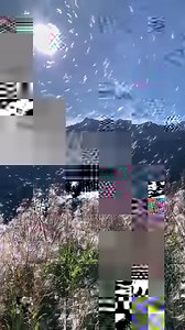 83K views · 9.1K reactions | MOODY SWISS DAYS VIDEO @Michelphotographych Now, you have an idea how beautiful moody days could look like:) Music: Rising sea - Be still the earth | Sylvia Michel Photography | Facebook