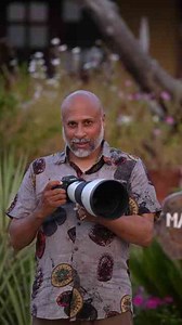 Up Close with Nature: A Day of Wildlife Photography