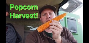 The payoff has arrived! We've been tracking this field all season, and now the day has come to reap what we've sown. Follow along as we harvest the field and find out how many pounds per acre it yields. | The Farmer's Life
