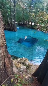 145K views · 4.2K reactions | Dreamy waters of Ginnie Springs, one of Florida's natural gems!  www.instagram.com/beaualiso | Best Destinations To Travel | Facebook