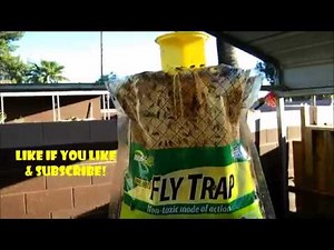 Rescue fly-trap-BEST FLY-TRAP EVER!!!- SET-UP AND RESULT