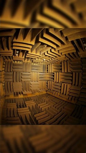 The World’s Quietest Room🤫 #TechFacts #mindblown