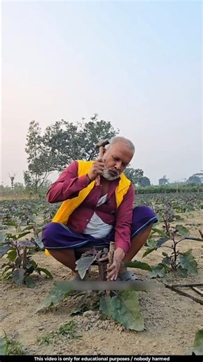 This small technique turns a plant into a tree 🤔l #plants #farming