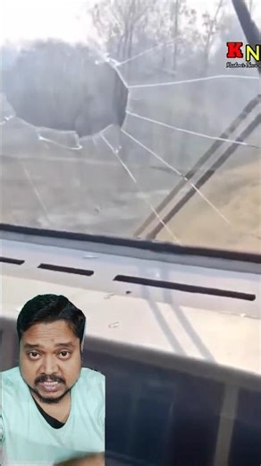 A remarkable friendship between a disabled duckling and a loving cat