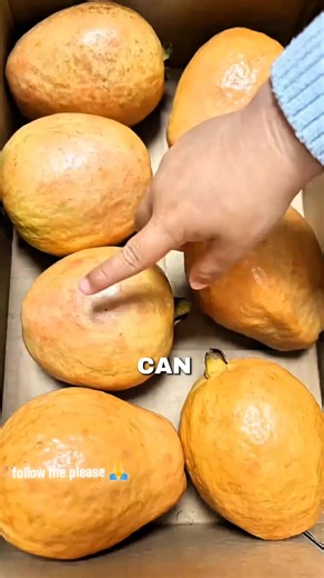 Easy DIY Juice Recipes for Refreshing Drinks