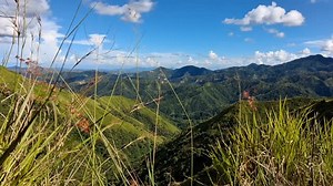 nature heals | Angeline A. Nalimang