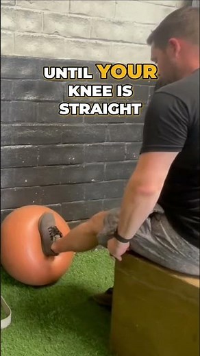 Leg Press Alternatives: No Gym? No Problem! Do This Instead