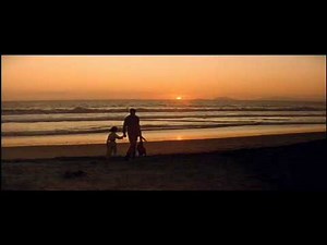 THE GREEN BERETS - end