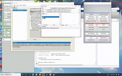 使用cat12计算数据
