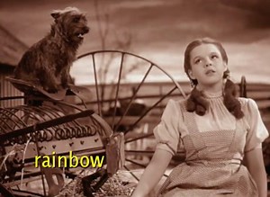 The Wizard of Oz Broken Apart and Put Back Together in Alphabetical Order