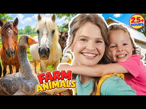 Learn About Animals for Kids! 2.5 Hours of Fun Animal Learning Adventures with Silly Miss Lily