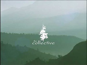 The Collective: ROAM 2004 [480p]