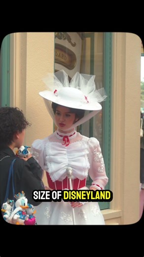 Before You Book Tokyo Disneyland