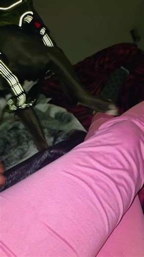 Haley (@haley8923)’s videos with original sound - Haley