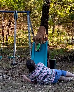 Dogs are visual learners 🛝🤣 | Furry Tails