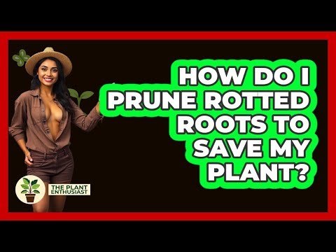 How Do I Prune Rotted Roots To Save My Plant? - The Plant Enthusiast