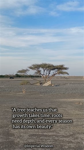 Beautiful Tree Quote About Growth, Patience and Life | Inspirational Nature Quote