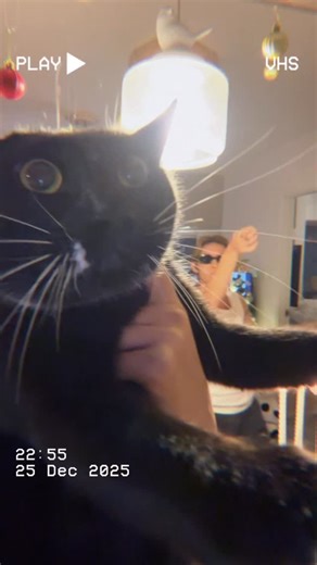 𝐊𝐚𝐫𝐞𝐧 𝐋𝐚𝐰 on Instagram: "Meow Christmas🎄🐱 🖤"