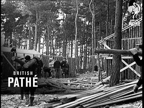 Newfoundland Lumberjacks Here (1940)