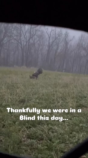 1.1K views · 1.6K reactions | THE THINGS WE DO FOR TURKEYS 藍 #turkey #hunting #outdoors #hail | Corey McGowan | Facebook