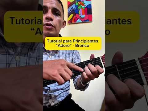 Bronco Adoro Tutorial