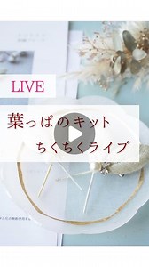 kukka/クッカ...ふっくら立体刺繍講師&作家・オンライン講座 on Instagram: "ふっくら立体刺繍のコツと魅力をお伝え🪡 葉っぱのちくちくLIVE‪ෆ‪.*･ﾟ 葉っぱのキットは一般向けに 販売しておりますので ぜひやってみてくださいね✧*｡ 次回2月末販売予定🌱𓂃 𓈒𓏸"