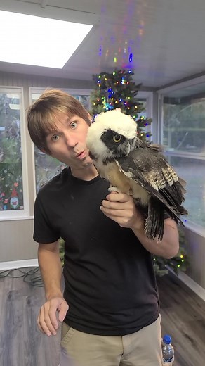 56K views · 1.1K reactions | Cute Owl at Xtreme Exotics Wildlife Foundation | Wild Charles | Facebook