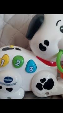 vtech Pull & Sing Puppy Demo Review