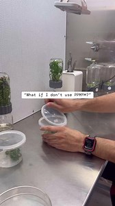 11K views · 149 reactions | Well, it’s like inviting uninvited guests...