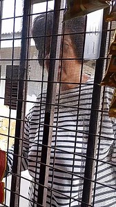 53K views · 1.2K reactions | Maki pamalat ku pabalat lumpia #jiepabalan | Jie Pabalan | Facebook