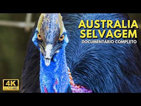 Austrália Selvagem: Os Animais Mais Surpreendentes e Perigosos!