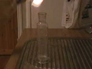 Elementary Productions: Small scale Barking Dog reaction