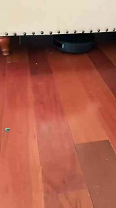 Affordable Cleaning Solutions Robot Vacuum Tips and Tricks