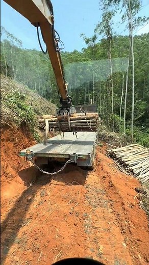Heavy Excavator Loading Logs on Mountain Road | Amazing Timber Handling Skills