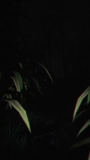 Alien Jump scare - The Strange Lights #horrorgame #indiehorror