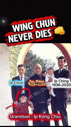Ip Man Legacy: Wing Chun Martial Arts Transmission