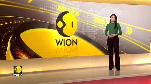 Miami Gleams With Holiday Spirit As The City Sparkles For The Festive Season