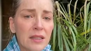 Sharon Stone mourns the loss of her 'adopted grandmother' Eileen Mitzman