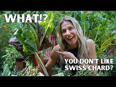 How to Grow Swiss Chard in a Raised Bed Garden-Step by Step Instructions