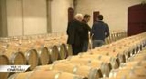 Vie de Château - Château de France en Pessac Leognan