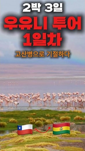 칠레 산 페드로 데 아타카마에서 볼리비아로 가는 2박 3일 우유니 투어(1일차)
